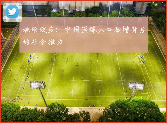 姚明效应：中国篮球人口激增背后的社会推力