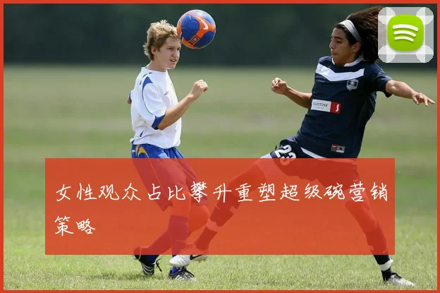 女性观众占比攀升重塑超级碗营销策略