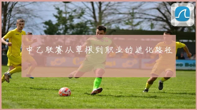 中乙联赛从草根到职业的进化路径
