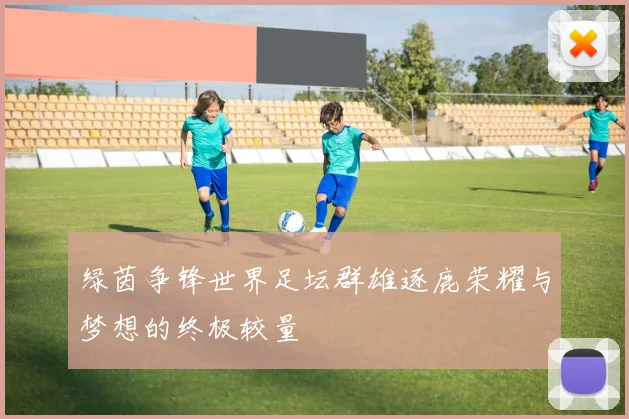 绿茵争锋世界足坛群雄逐鹿荣耀与梦想的终极较量