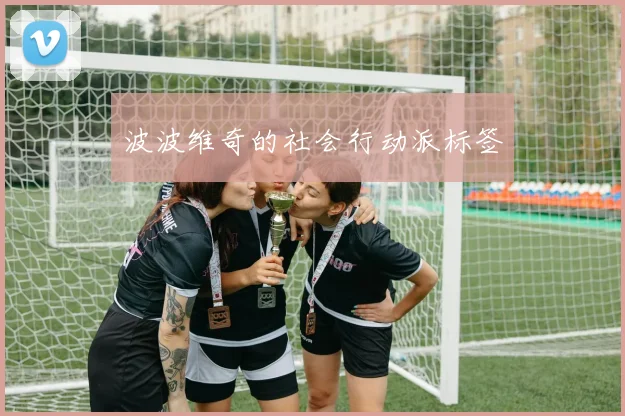 波波维奇的社会行动派标签