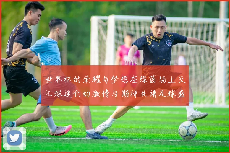 世界杯的荣耀与梦想在绿茵场上交汇球迷们的激情与期待共谱足球盛宴