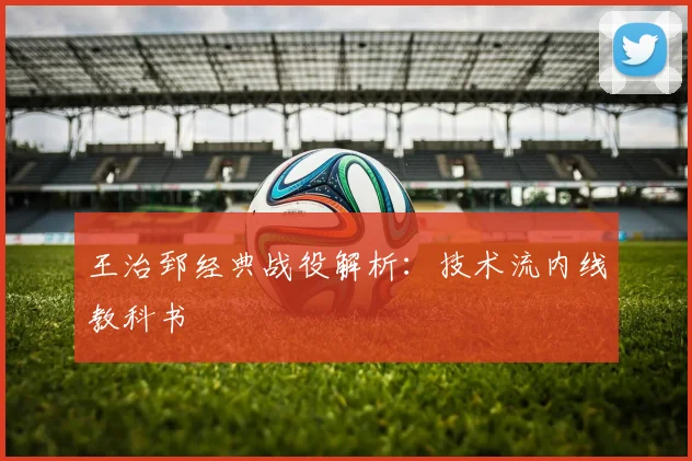 王治郅经典战役解析：技术流内线教科书