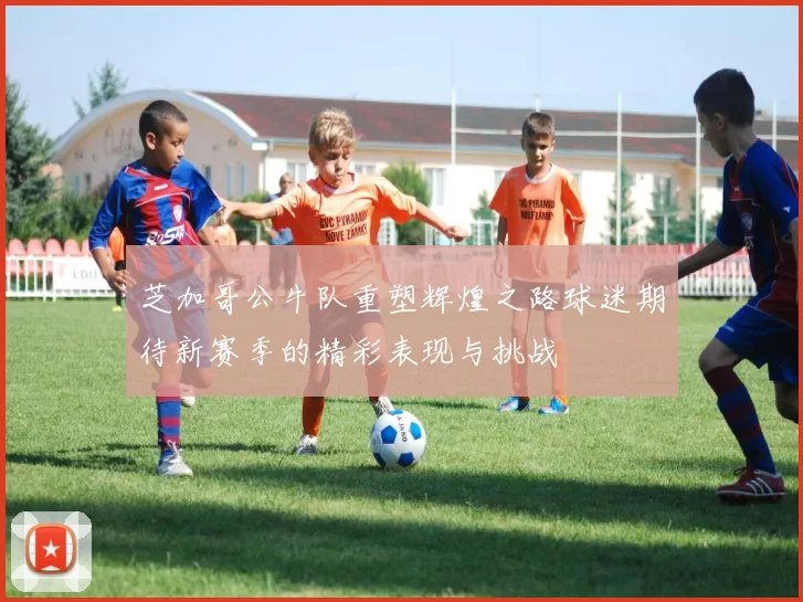 芝加哥公牛队重塑辉煌之路球迷期待新赛季的精彩表现与挑战