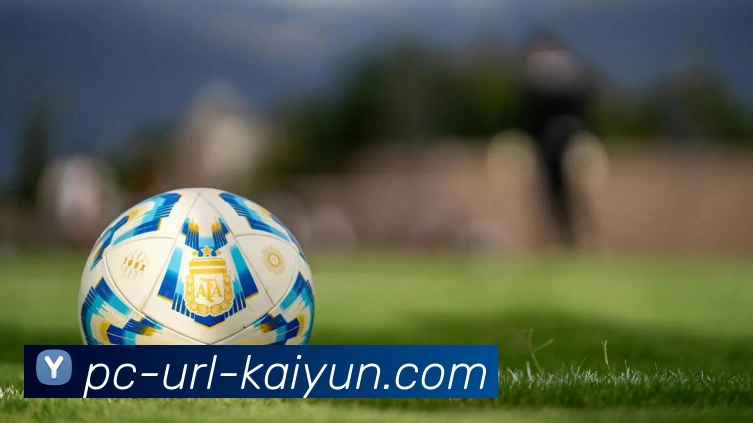 开云平台生态图